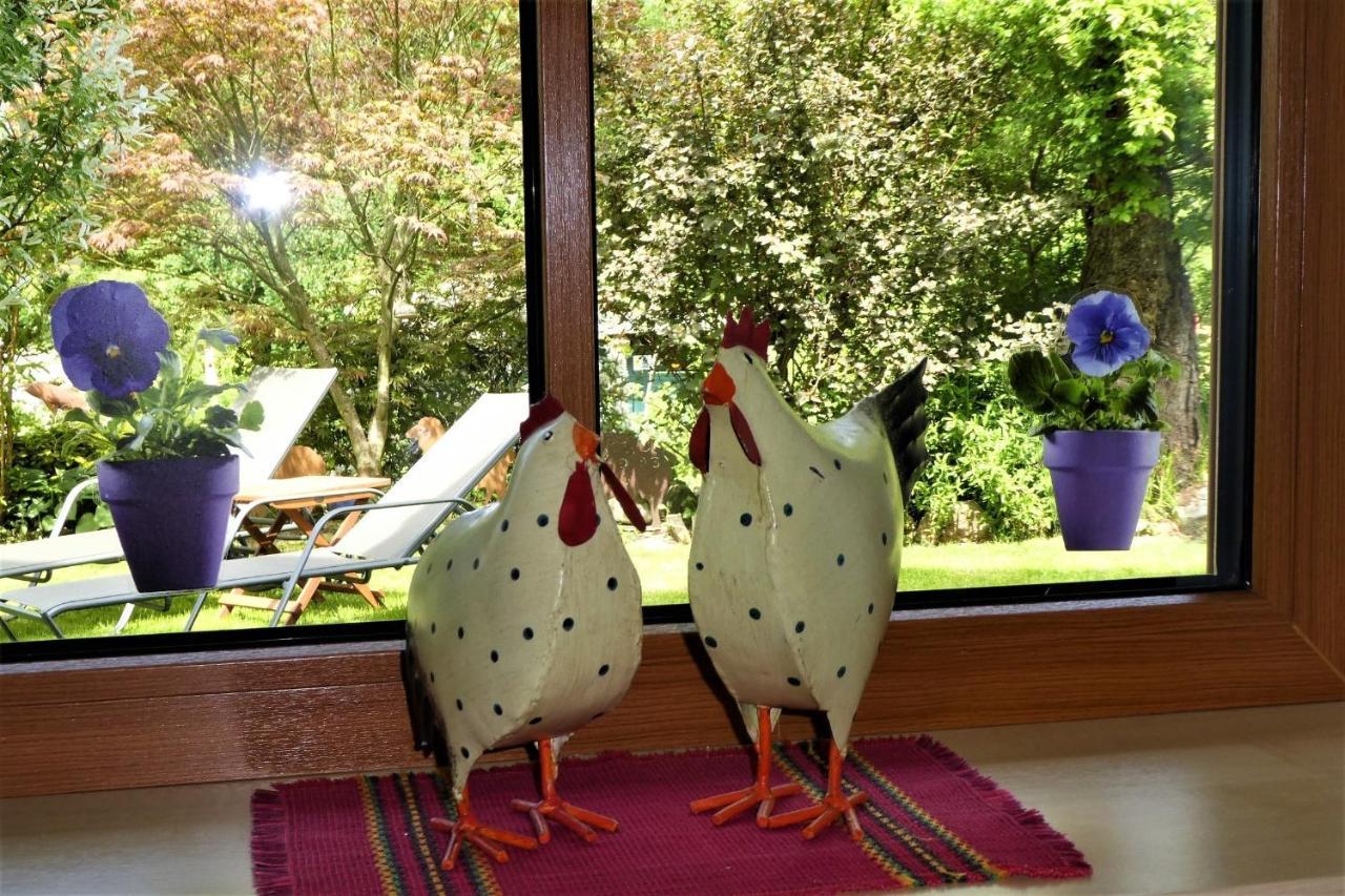 Öko-Ferienwohnung im Landhaus Hübner Neukirchen  Exterior foto